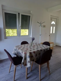 Kotor de modern ve aydınlık daire