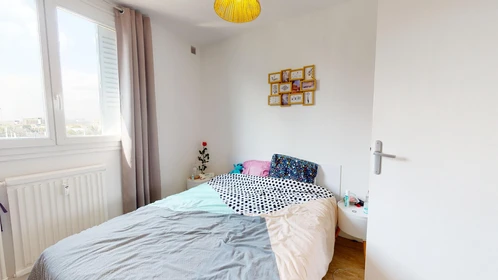 Room for rent in a shared flat in Villeurbanne