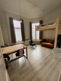 Chambre à louer dans un appartement en colocation à Nijmegen