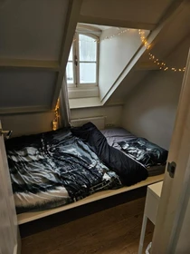 Room for rent in a shared flat in Amsterdam