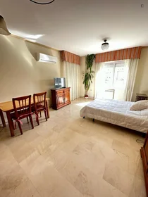 Privatzimmer in der Avenida Salvador Allende, bild 2 von 11