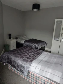 Room for rent in a shared flat in Limerick