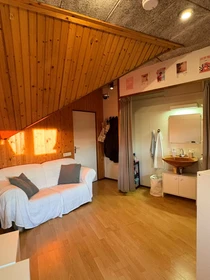 Habitación en alquiler con cama doble Eindhoven