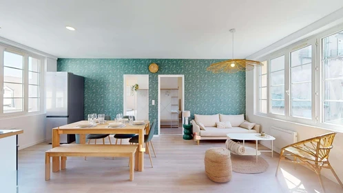 Private room at 11 Rue Michel Servet, 21000 Dijon, France, image 8 of 16