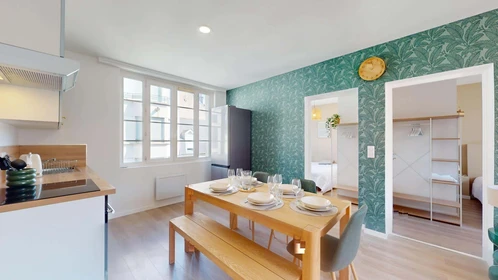 Private room at 11 Rue Michel Servet, 21000 Dijon, France, image 10 of 16