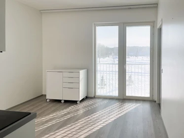 Apartamento entero totalmente amueblado  en Turku