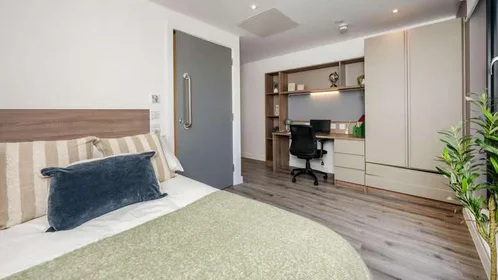 Chambre privée à Howard Gardens, Cardiff CF24 0FA, United Kingdom, image 1 de 10