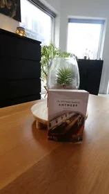 Gesamte Unterkunft in der Korte Winkelhaakstraat 2, bild 9 von 16