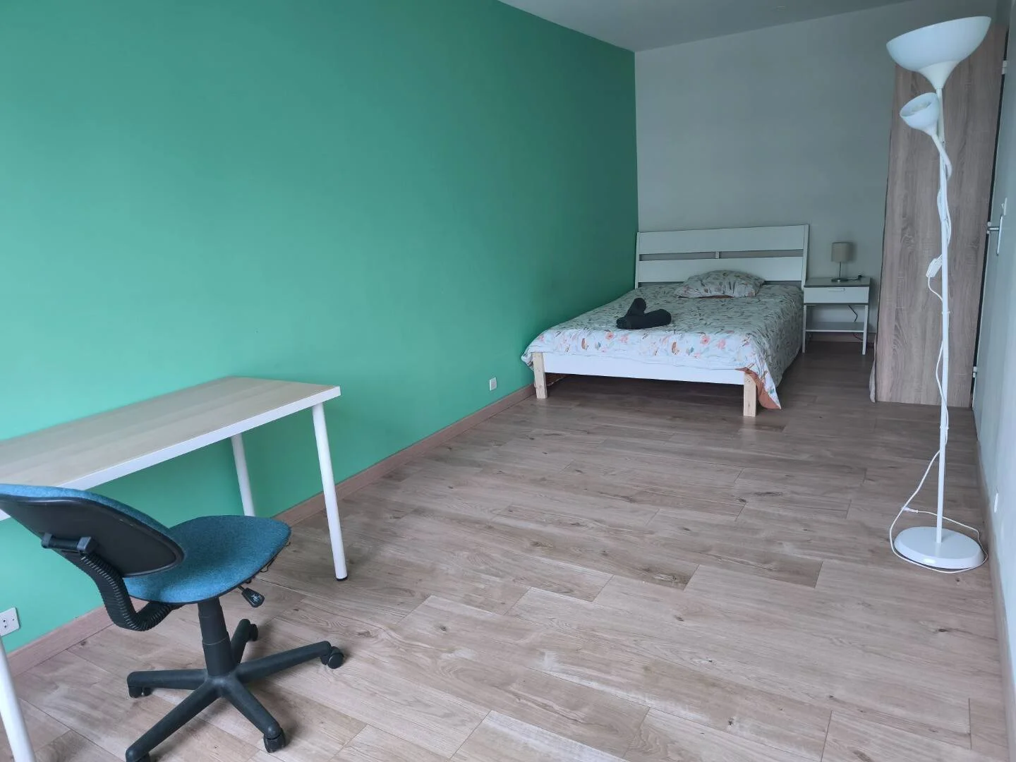 Chambre abordable pour les étudiants avec un bon éclairage dans 