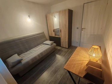 Chambre à louer avec lit double Cannes