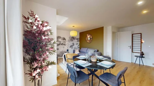 Quarto privado em 44 Cr Edouard Vaillant, 33300 Bordeaux, France, imagem 15 de 17