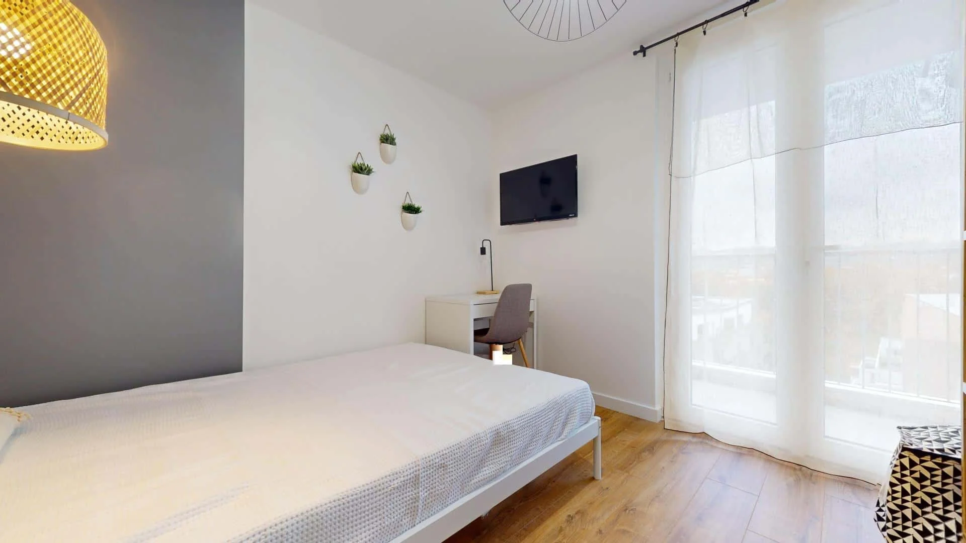 Affordable room for students with ample lighting in 