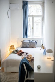 Helles Privatzimmer in Budapest