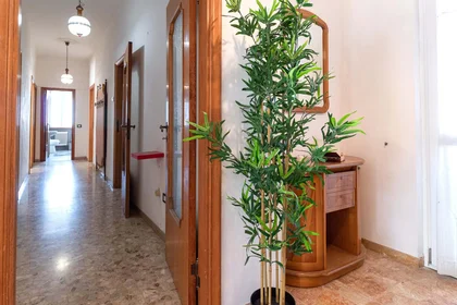 Private room at Via Gioacchino da Fiore, 13, 65127 Pescara PE, Italia, image 13 of 18