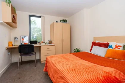 Stanza privata in Nick Everton House, 78 Grafton Street, Manchester, M13 9LR, immagine 1 di 10