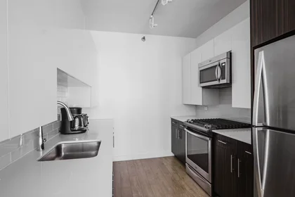 Alojamiento entero en North Garland Court, Chicago Loop, imagen 7 de 10