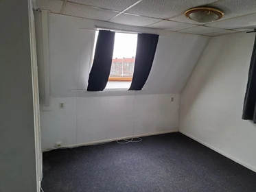 Alquiler de habitación en piso compartido en Leeuwarden