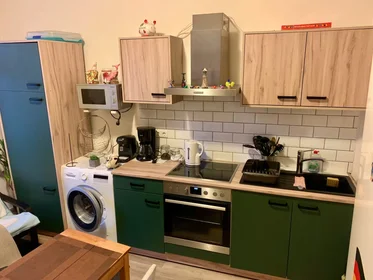 Entire apartment at Austraße, Offenbach am Main, image 1 of 10