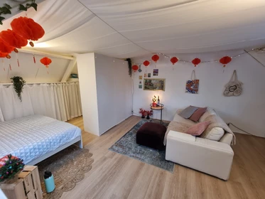 Chambre à louer avec lit double Enschede