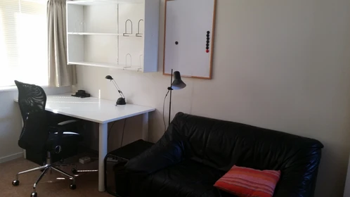 Habitación en alquiler con cama doble Eindhoven