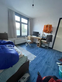 Alquiler de habitaciones por meses en Groningen