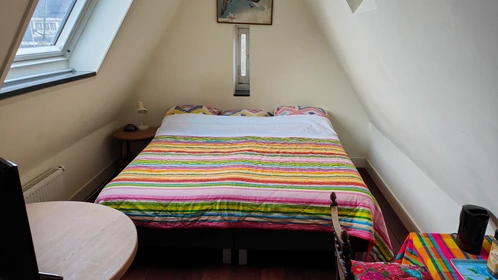 Renting rooms by the month in Amsterdam