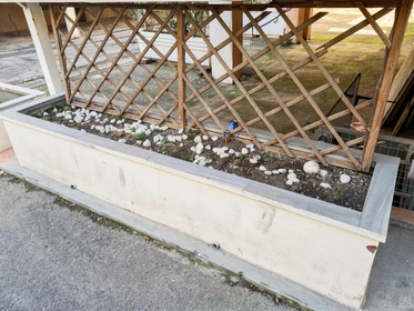 Özel oda konumu Miramare, Rimini, 25 36 görüntüsü