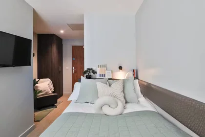 私人房间 在 Windsor House, Windsor Lane, Cardiff, CF10 3DE, 26的图像22