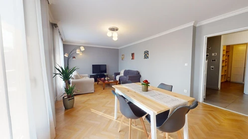 Chambre à louer dans un appartement en colocation à Villeurbanne