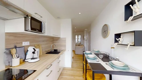 私人房间 在 7 Av. Gaston Berger, 35000 Rennes, France, 19的图像16