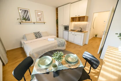 Apartamento inteiro em Nový cejl 79, imagem 1 de 10
