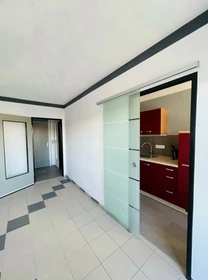 Erlangen de modern ve aydınlık daire