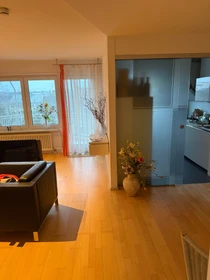 Room for rent with double bed Mannheim