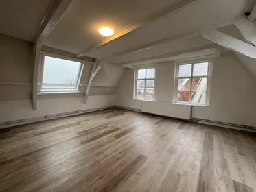 Alquiler de habitación en piso compartido en Leeuwarden