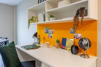 Habitación privada en Devon St, Liverpool L3 8HA, United Kingdom, imagen 20 de 49