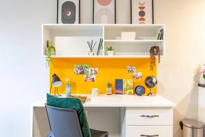 Habitación privada en Devon St, Liverpool L3 8HA, United Kingdom, imagen 34 de 49