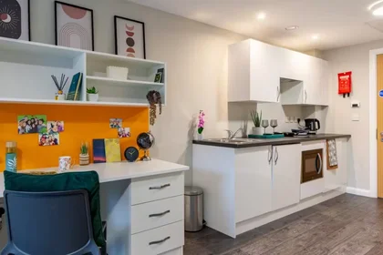 Habitación privada en Devon St, Liverpool L3 8HA, United Kingdom, imagen 35 de 49