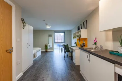 Habitación privada en Devon St, Liverpool L3 8HA, United Kingdom, imagen 36 de 49