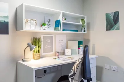 Habitación privada en Devon St, Liverpool L3 8HA, United Kingdom, imagen 43 de 49