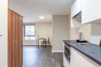 Habitación privada en Devon St, Liverpool L3 8HA, United Kingdom, imagen 44 de 49