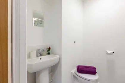 Habitación privada en Devon St, Liverpool L3 8HA, United Kingdom, imagen 45 de 49