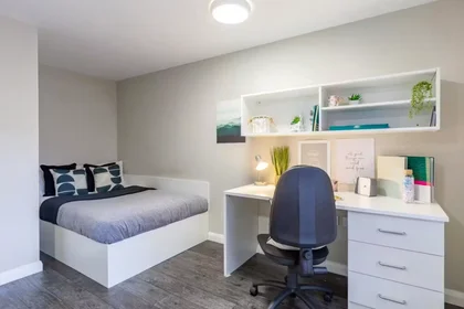 Habitación privada en Devon St, Liverpool L3 8HA, United Kingdom, imagen 48 de 49