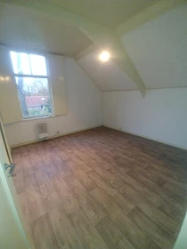 Chambre à louer dans un appartement en colocation à Leiden