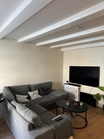 Entire fully furnished flat in Amsterdam