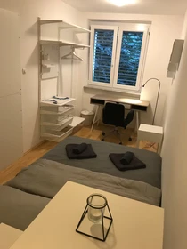 Room for rent in a shared flat in Ljubljana