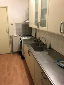 Alquiler de habitación en piso compartido en Leeuwarden