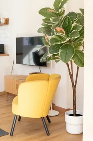Apartamento inteiro em Calle Luisa Estany, , imagem 3 de 10
