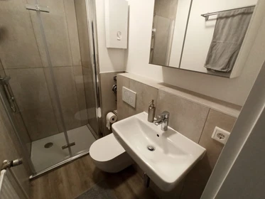 Logement entier à Römerstraße, image 11 de 33