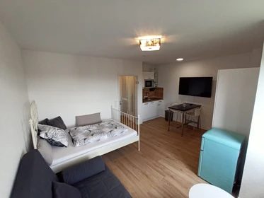 Logement entier à Römerstraße, image 17 de 33