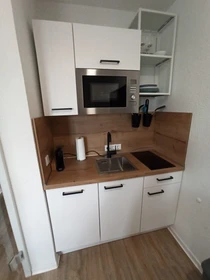Logement entier à Römerstraße, image 23 de 33